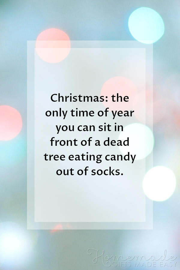 Funny christmas quotes 115+ Funny