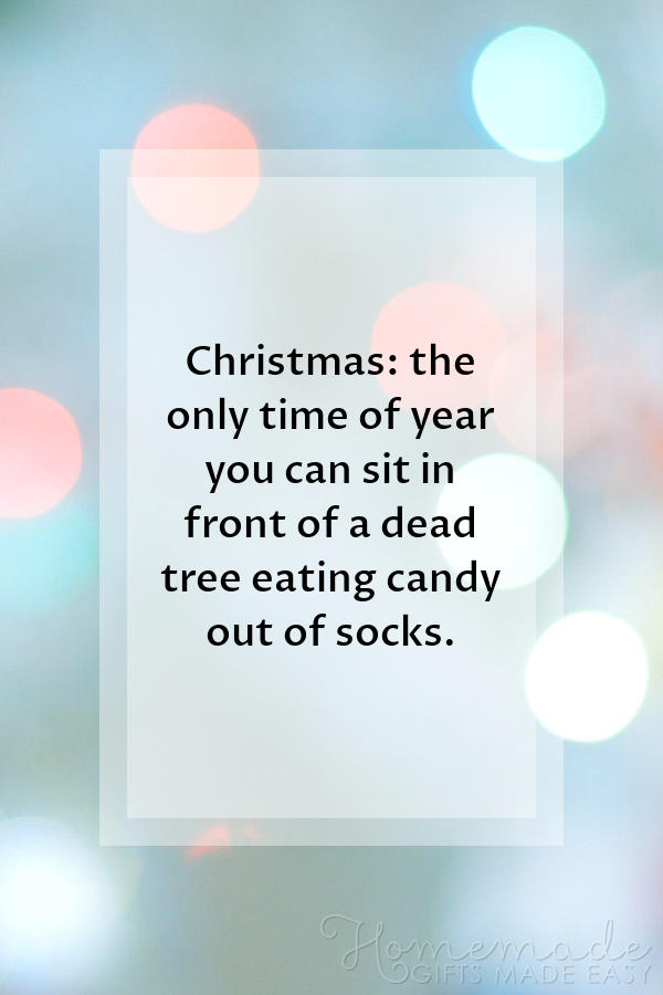 100+ Best Christmas Quotes: funny, family, inspirational ...