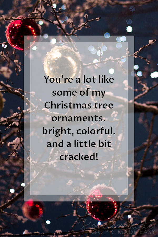 merry christmas images funny ornaments cracked 600x900