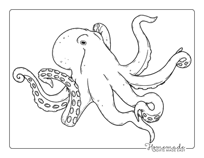 Octopus Coloring Pages Realistic Octopus for Adults