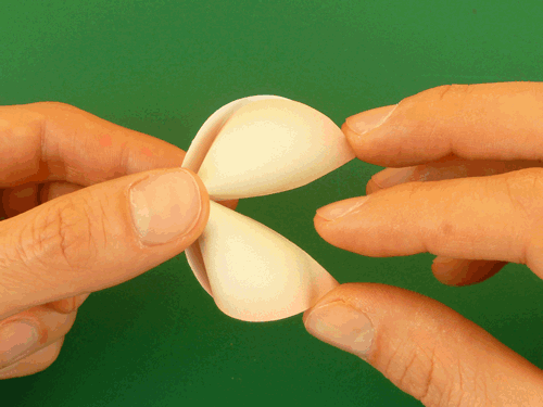origami fortune cookie step 3 animation