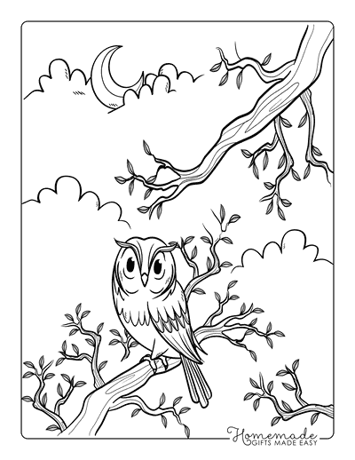 Owl Coloring Pages Easy Cute Owl and Moon