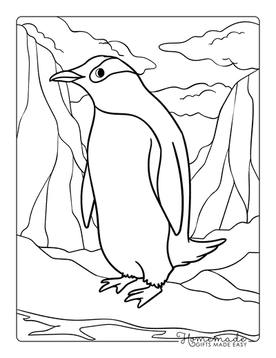 Penguin Coloring Pages Cute Realistic Penguin on Ice
