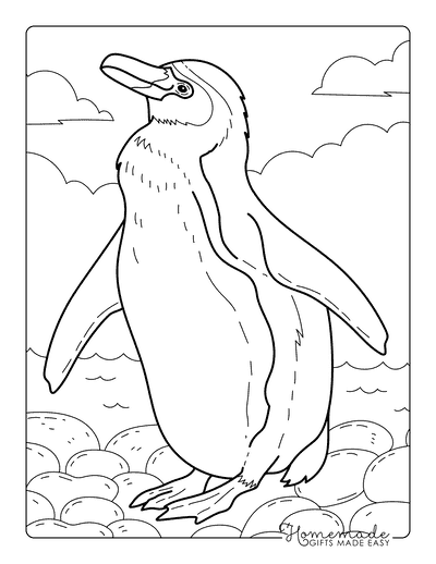 Penguin Coloring Pages Realistic Penguin by the Sea