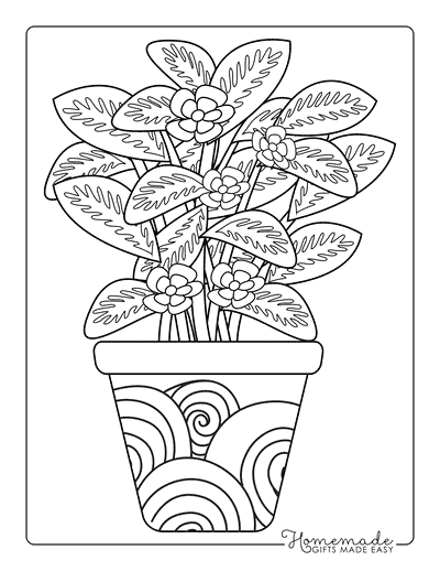 Plant Coloring Pages Indoor Potted Houseplant Outline for Adults