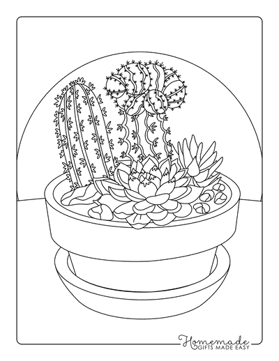 Plant Coloring Pages Realistic Cute Flowering Cactus Drawing for Adults