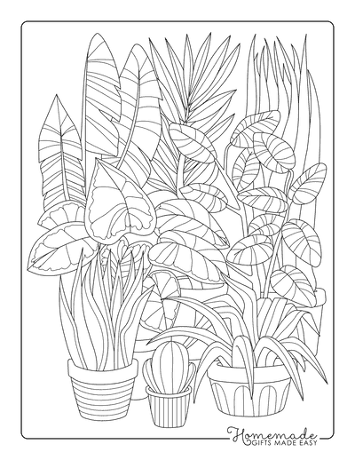 Plant Coloring Pages Realistic Plants Drawing for Adults