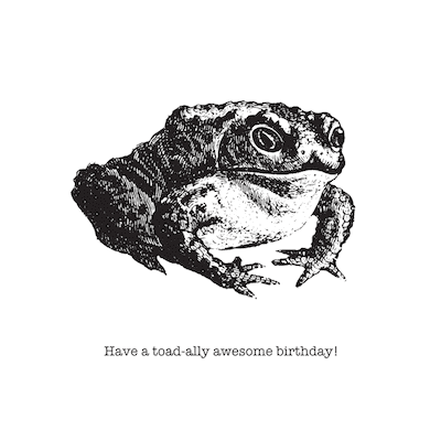 Printable Birthday Cards Toadally Awesome