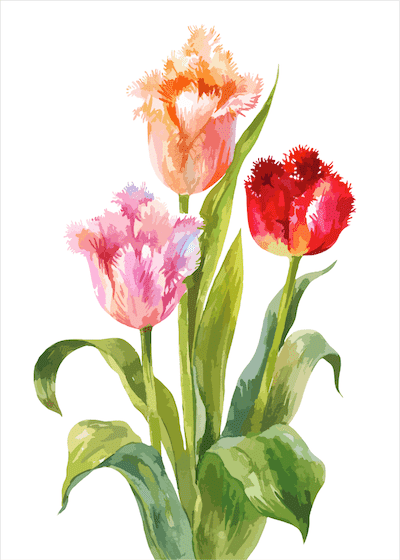 Printable Mothers Day Cards 5x7 Tulips Watercolor