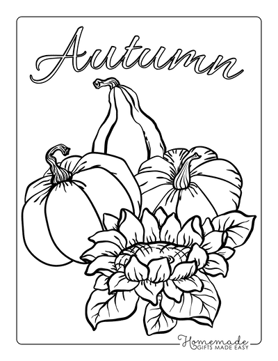 https://www.homemade-gifts-made-easy.com/image-files/pumpkin-coloring-pages-3-squash-pumpkins-flower-400x518.png