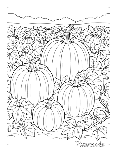 Pumpkin Coloring Pages Realistic Pumpkin Patch for Adults