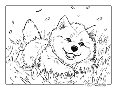 Puppy Coloring Pages Alaskan Malamute Rolling in Grass