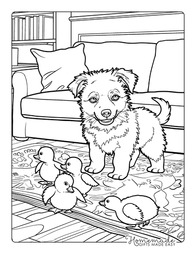 Puppy Coloring Pages Border Collie Herding Ducklings