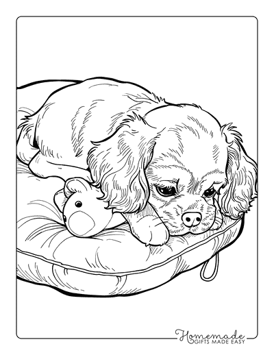 Puppy Coloring Pages Cavalier King Charles Spaniel Snuggling Toy
