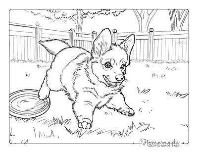 Puppy Coloring Pages Corgi Playing With Frisbee