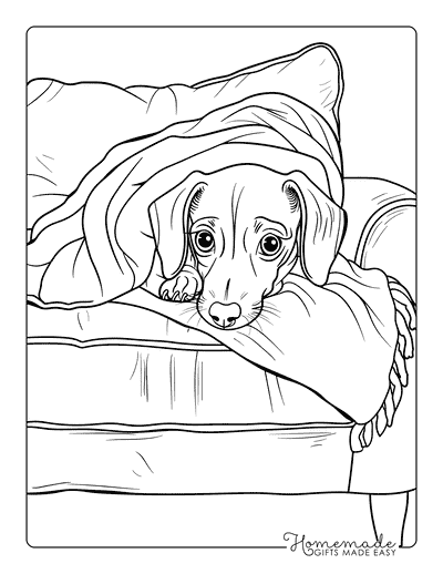 Puppy Coloring Pages Dachshund Under Blanket on Couch