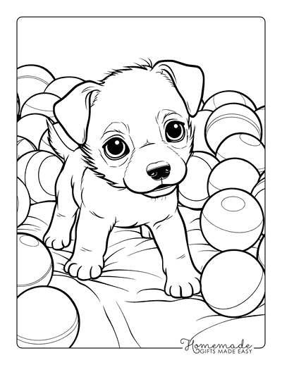 Puppy Coloring Pages Jack Russell Ballpit