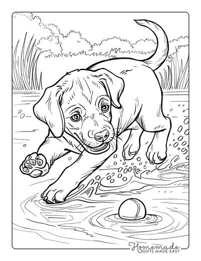 Puppy Coloring Pages Labrador Retriever Chasing Tennis Ball
