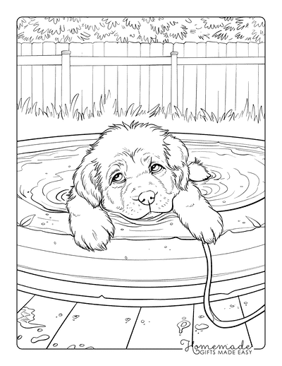 Puppy Coloring Pages Newfoundland in Pool