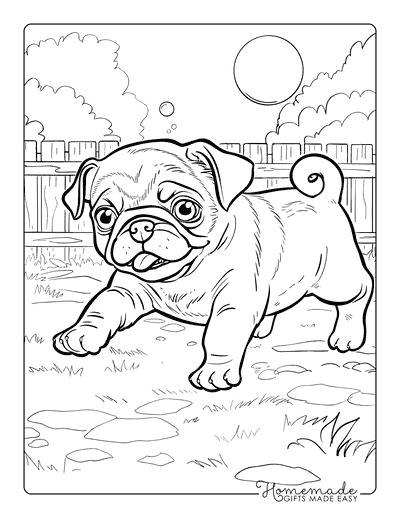 Puppy Coloring Pages Pug Chasing Bubble