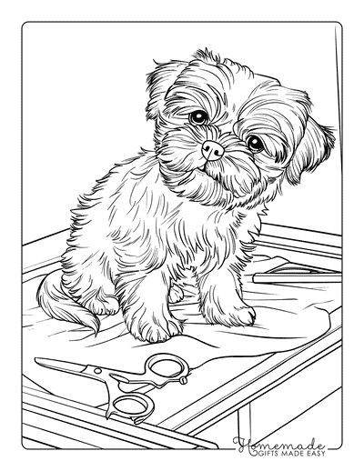 Puppy Coloring Pages Shih Tzu Grooming