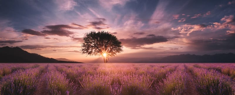 purple and yellow make mauve and brown landscape