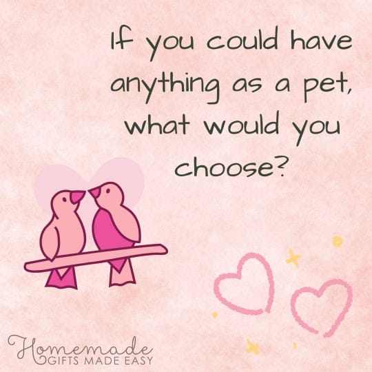 questions to ask your girlfriend If you could have anything as a pet, what would you choose?