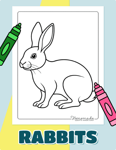 Rabbit Coloring Pages