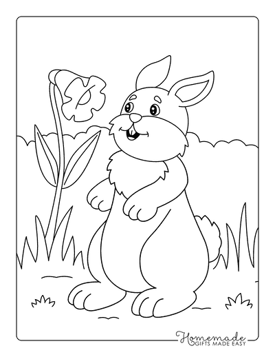 Rabbit Coloring Pages Adorable Rabbit Coloring Sheet With Flower