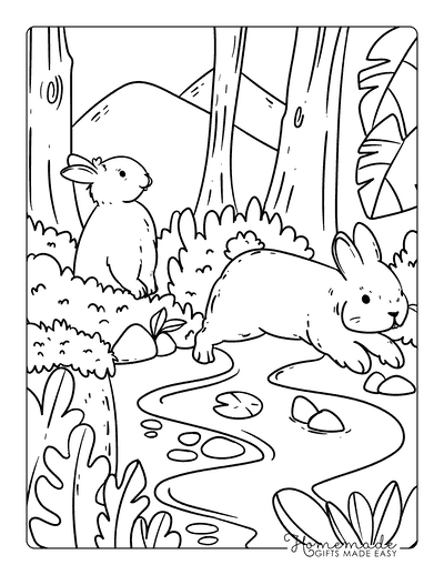 Rabbit Coloring Pages Cute Rabbit Adventure in a Forest