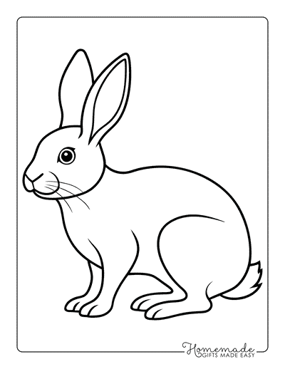 Rabbit Coloring Pages Easy Realistic Rabbit to Color