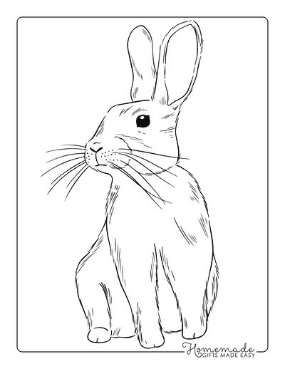 Rabbit Coloring Pages Realistic Rabbit Outline Coloring Page