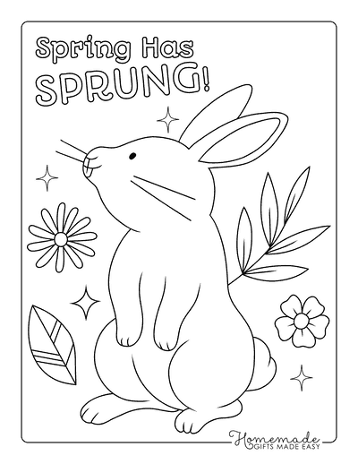 Rabbit Coloring Pages Simple Aesthetic Springtime Rabbit