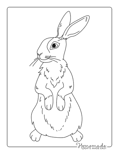 Rabbit Coloring Pages Simple Realistic Rabbit Standing on Back Legs