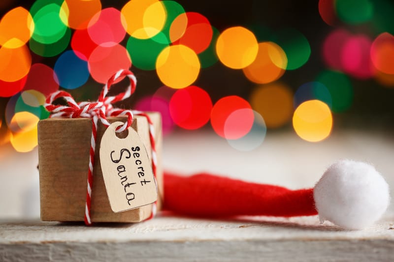 DIGITAL PRINTABLE Secret Santa Funny Gift Tags Set of 24 for 