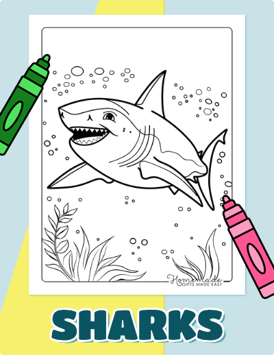 Shark Coloring Pages