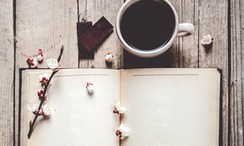 short love poems open journal with petals