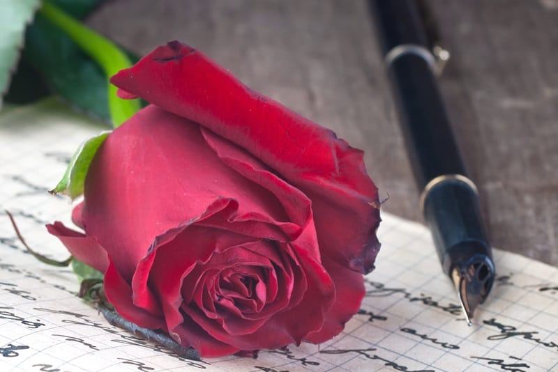 love poems for her rose and pen writing a love letter