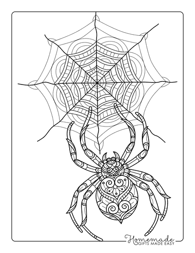 Spider Coloring Pages Realistic Spider and Web Zentangle to Color