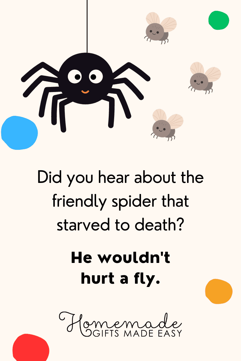 spider puns why did the friendly spider starve to death
