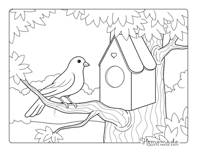 Spring Coloring Pages Cute Bird and Birdhouse in Tree