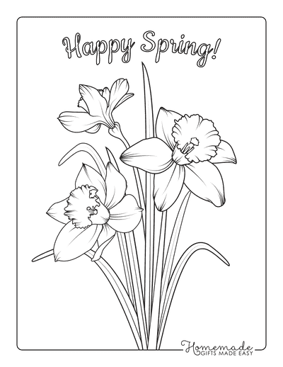Spring Coloring Pages Daffodils