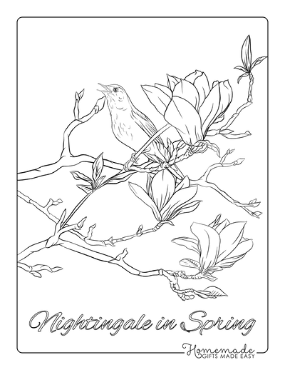 Spring Coloring Pages Magnolia Nightingale