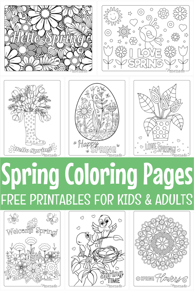 20 Best Paint By Number Printable Templates PDF for Free at Printablee   Abstract coloring pages, Pattern coloring pages, Detailed coloring pages