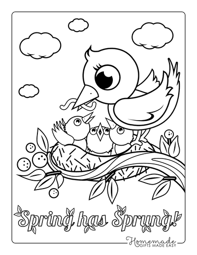 Spring Coloring Pages Mother Bird Feeding Chicks Nest