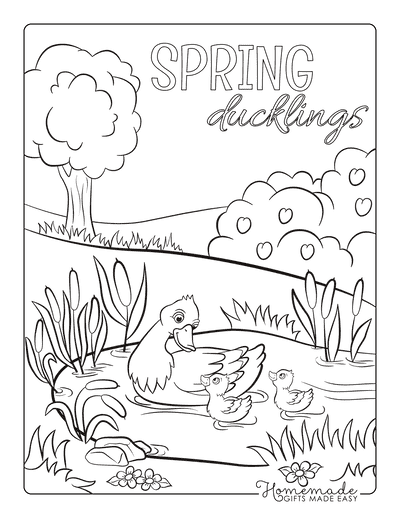 Spring Coloring Pages Mother Duck Duckling Pond