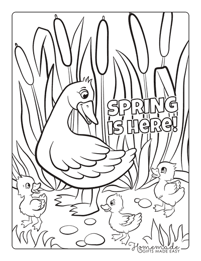 Spring Coloring Pages Mother Duck Ducklings Reeds