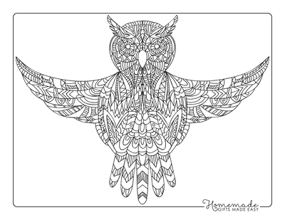 Sugar Skull Coloring Pages Patterned Cute Owl Spread Wings