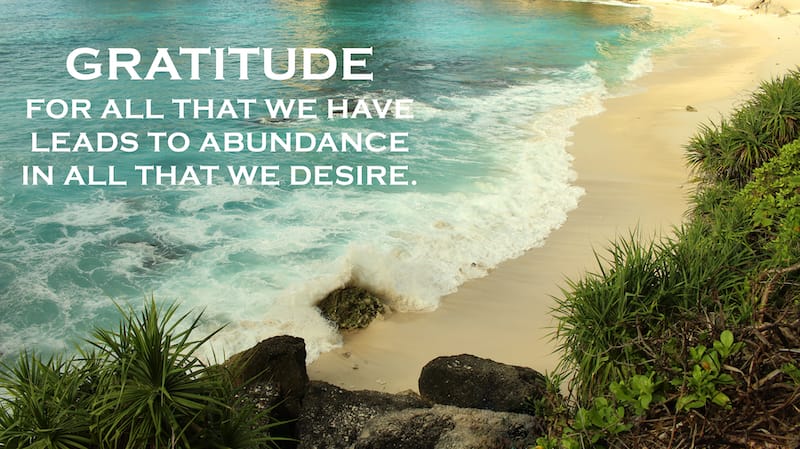 thankful quotes gratitude for all that we have leads to abundance in all that we desire