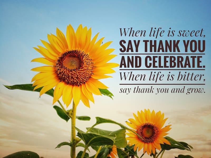 thankful quotes When life is sweet, say thank you and celebrate. When life is bitter, say thank you and grow